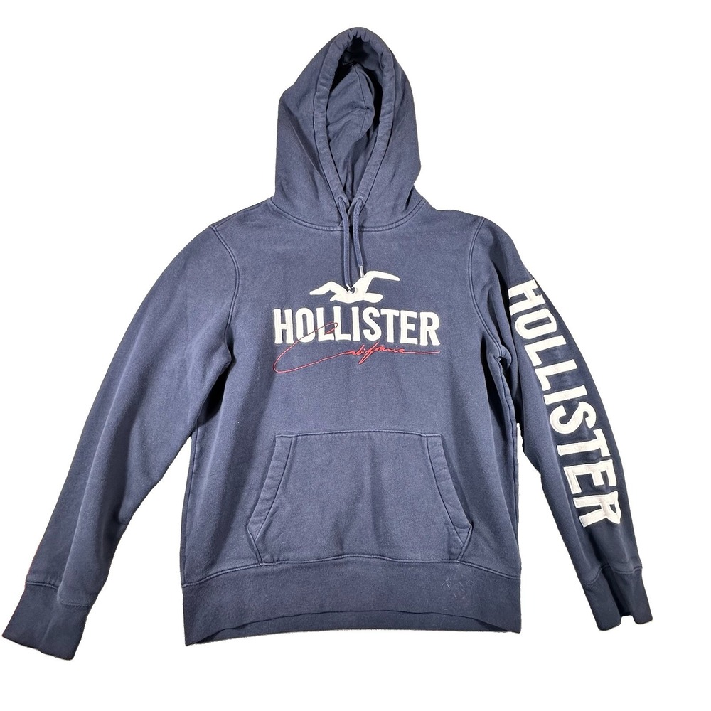 Hollister Must-Have Collection Mens L Hoodie Blue Spell Out Logo Preppy Skater